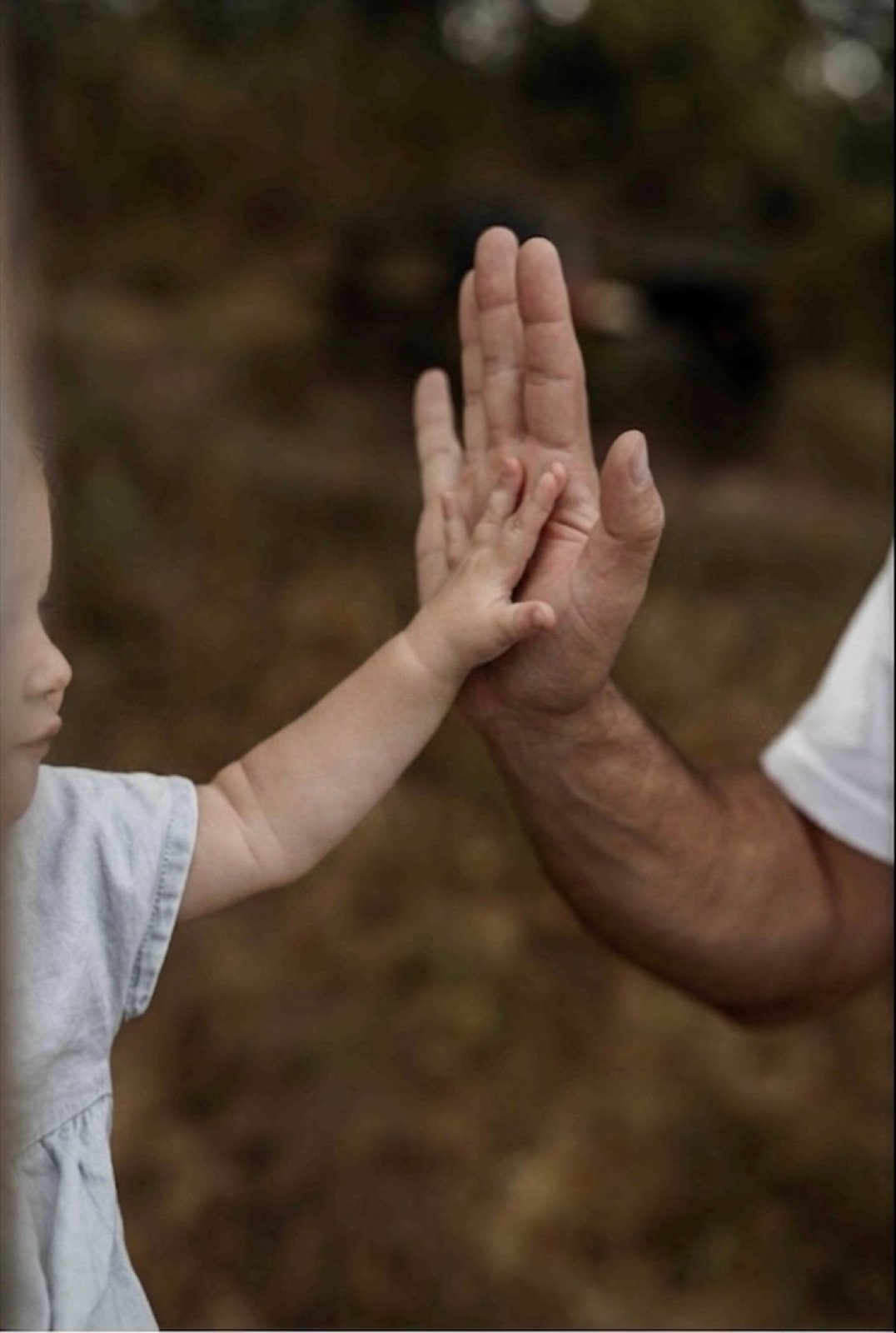 Eine Kinderhand liegt in der Hand eines Erwachsenen